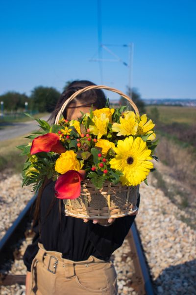 korpica-cveca Korpica cveca