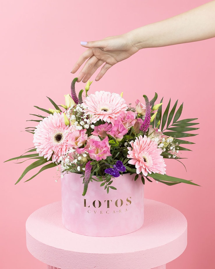 Roze gerberi u roze flower box-u Roze gerberi u roze flower box-u