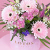 Roze gerberi u roze flower box-u Roze gerberi u roze flower box-u