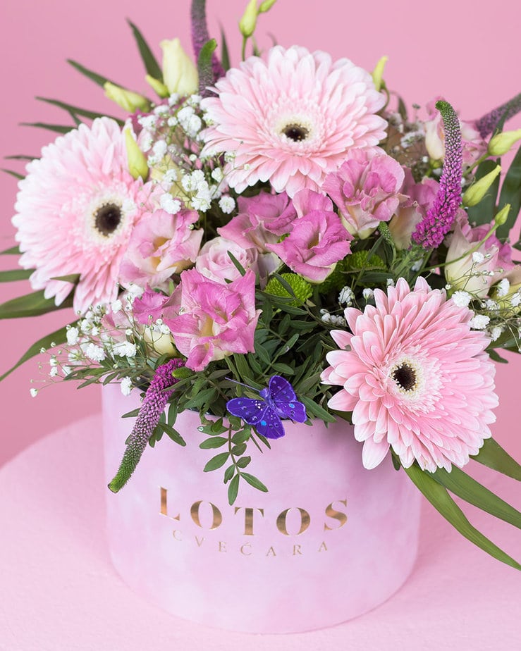Roze gerberi u roze flower box-u Roze gerberi u roze flower box-u