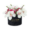 Flower box sa belim orhidejama Flower box sa belim orhidejama
