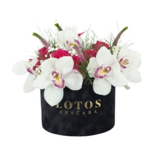 Flower box sa belim orhidejama