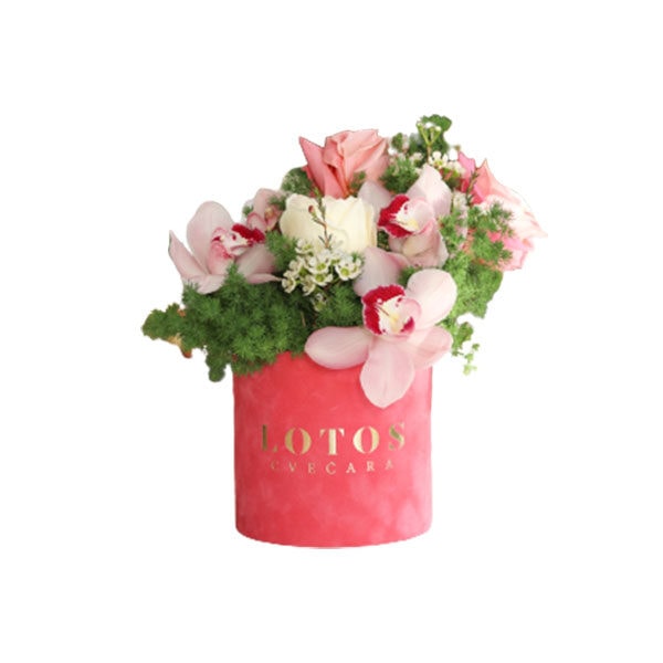 Flower box sa roze orhidejama