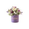 flower-box-purple Flower Box Cvetni Ples