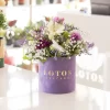 flower-box-purple-2 Flower Box Cvetni Ples