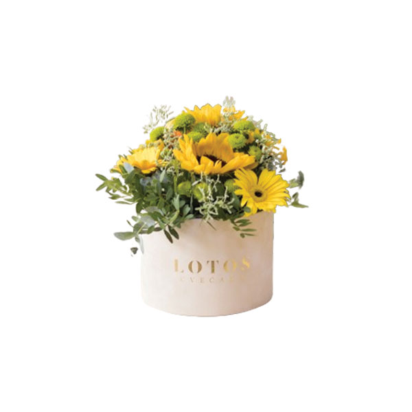 Flower box sa sunckoretima i žutim gerberima